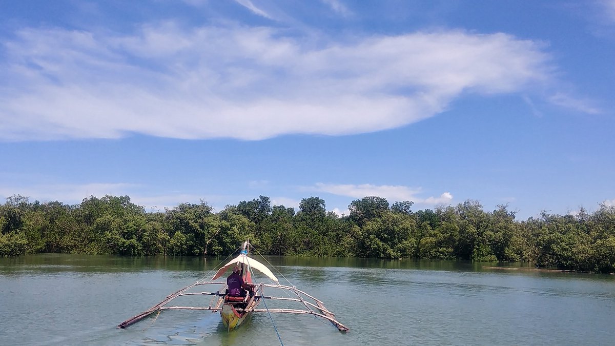 Ilo2MetroTimes's tweet photo. #LOOK: Palina River Greenbelt Eco-Park is an estuarine destination in Roxas City, Capiz where visitors can enjoy sumptuous seafood dishes on a bamboo raft while being cruised on a still water. #IMTNEWS #CaptureCapiz
๐ท IMT NEWS https://t.co/s9QzWJDXSE
