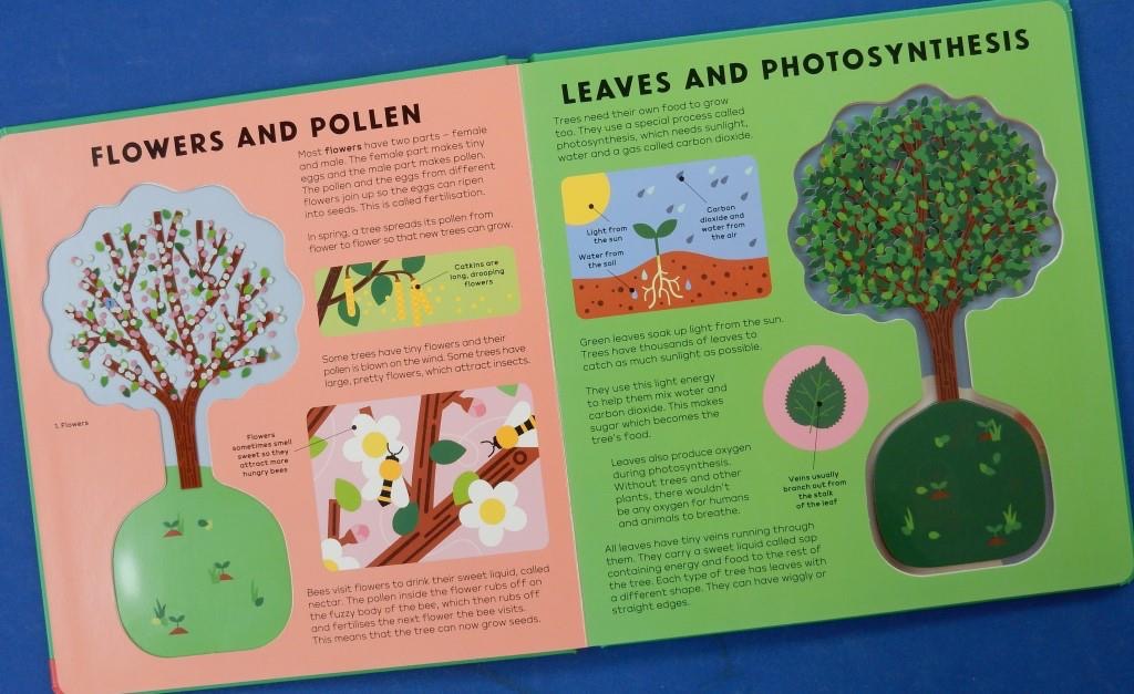 JillBennett18's tweet photo. Included in #RedReadingHub’s #naturalhistory #boardbook Sunday is #Thetreebook #hannahalice in collaboration with #simontoomer it’s full of information @NosyCrow -helping little ones to learn about #naturalhistory https://t.co/r3WsIQ8u1f https://t.co/t0OURYctDL