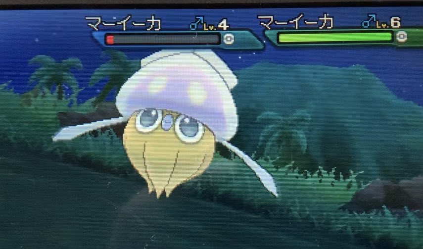 ポケモンgo マーイーカの色違い 入手方法と実装状況 攻略大百科