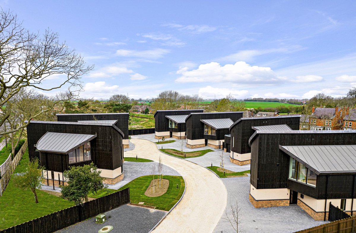 Chiselwood tweet media