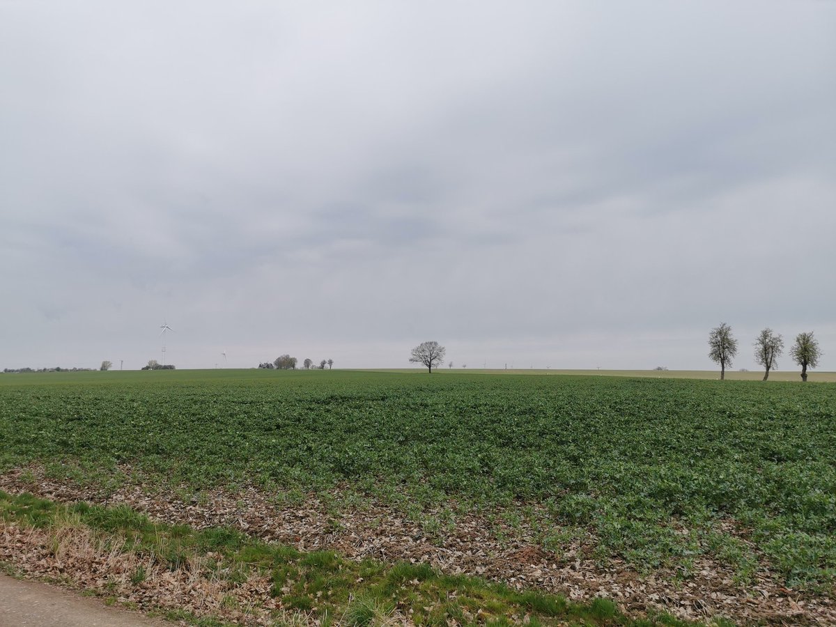 Ich war dann mal #Laufen, da wo der Spargel wächst, #vorderhaustür, über die Dörfer. Ein Abflug war auch dabei aber die kleine Katze mag meine dreckigen Klamotten. #byebye04
