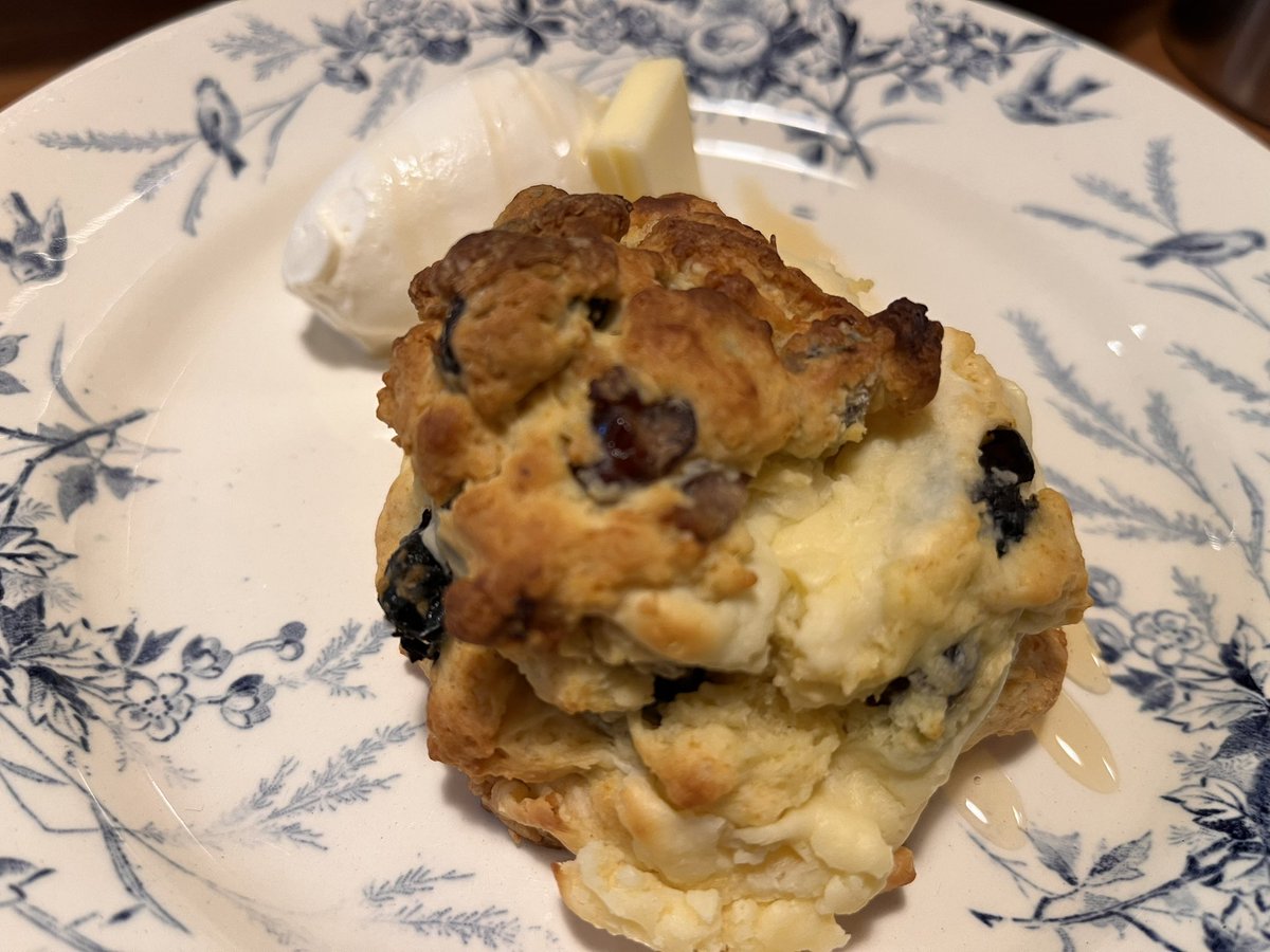 eiko's tweet photo. Tea and scones with a friend :) https://t.co/lZ8QeDFKsO