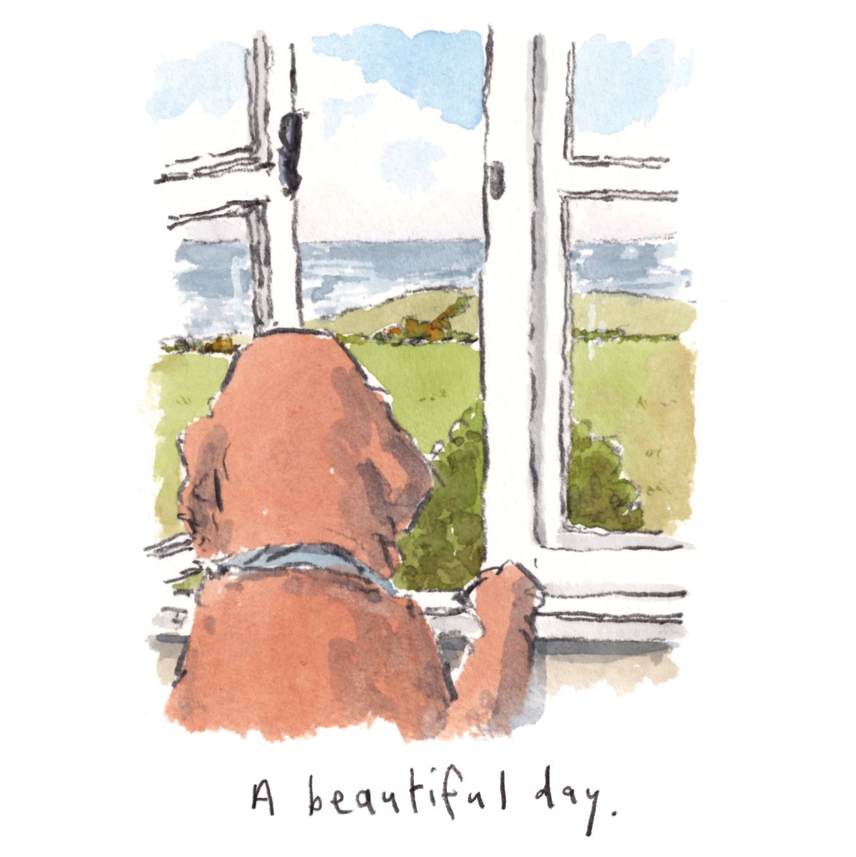 I hope that you are having some super lovely weather today, lovely people and lovely dogs. 
I am wishing you the very best for the rest of your day. 
#hoorayfordogs #sunnyweather #beautifulday