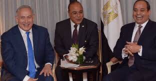 محمد المختار الشنقيطي tweet media