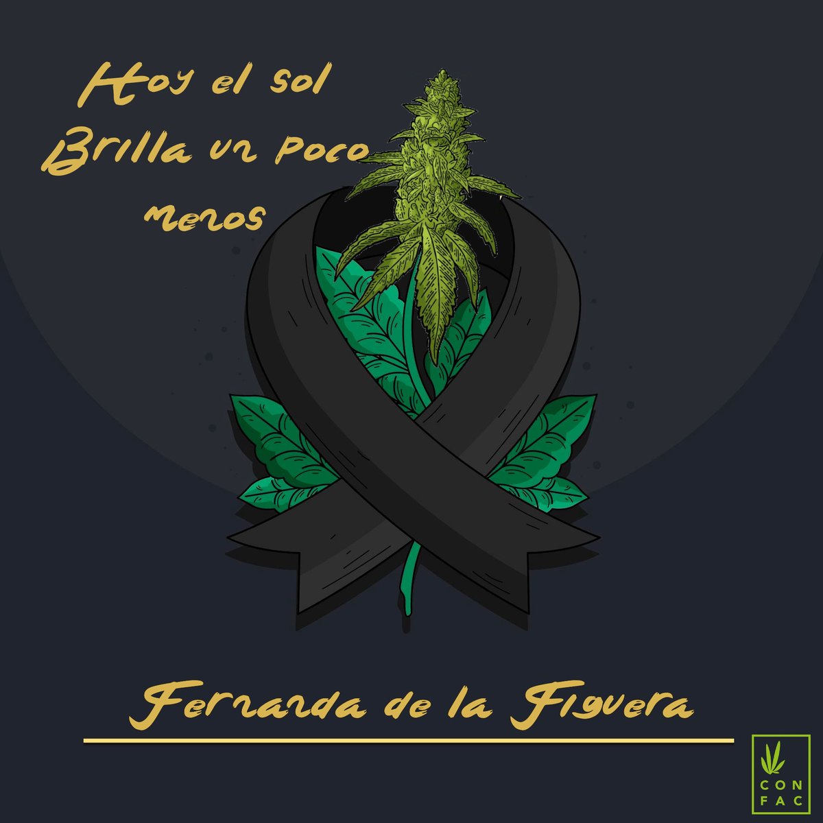 FederacionFAC's tweet photo. Hoy el sol brilla un poco menos. @AbuelaMarihuana  Descanse en Paz y libertad 😢🙏
Aquellos que amamos la #Cannabis estarás siempre en nuestros pensamiento. Mientras que exista tu recuerdo, vivirás por siempre en nuestros corazones.
🖤Adiós Fernanda,seguimos tu ejemplo de lucha https://t.co/uqOWP5yzML
