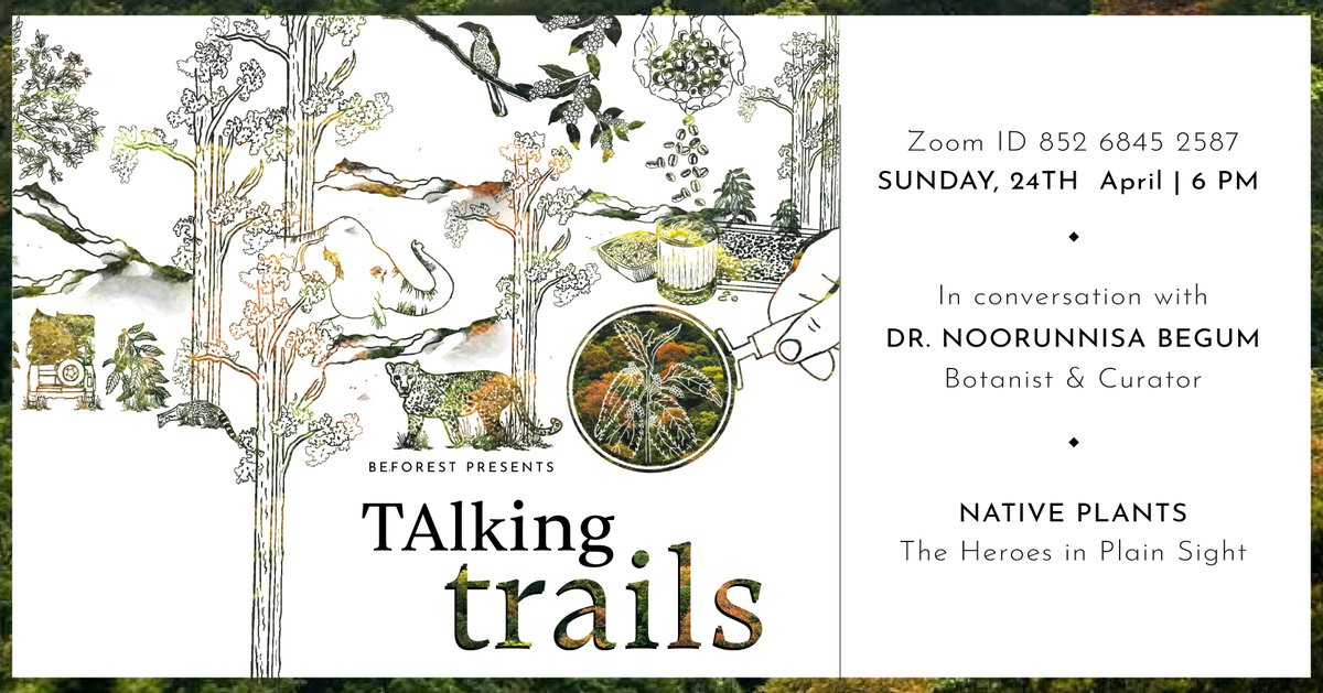 Beforest tweet media