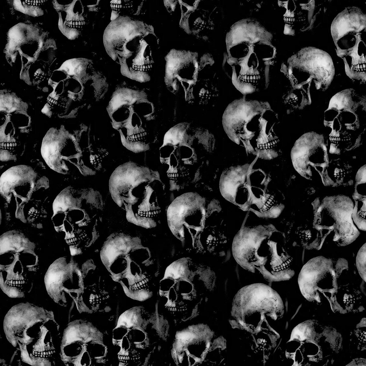 Archillect (@archillect) on Twitter photo 