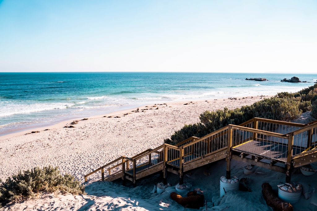 nathsway's tweet photo. These seals were ready for their photo moment 😆 Seal Bay is home to around 800 Australian Sea Lions 🇦🇺 Take an immersive tour down to the beach to view the colony bask in the sun after fishing. Trust me, you will love it 😍
-
#sealbay #kangarooisland #southaustralia https://t.co/iejRS5i2hp