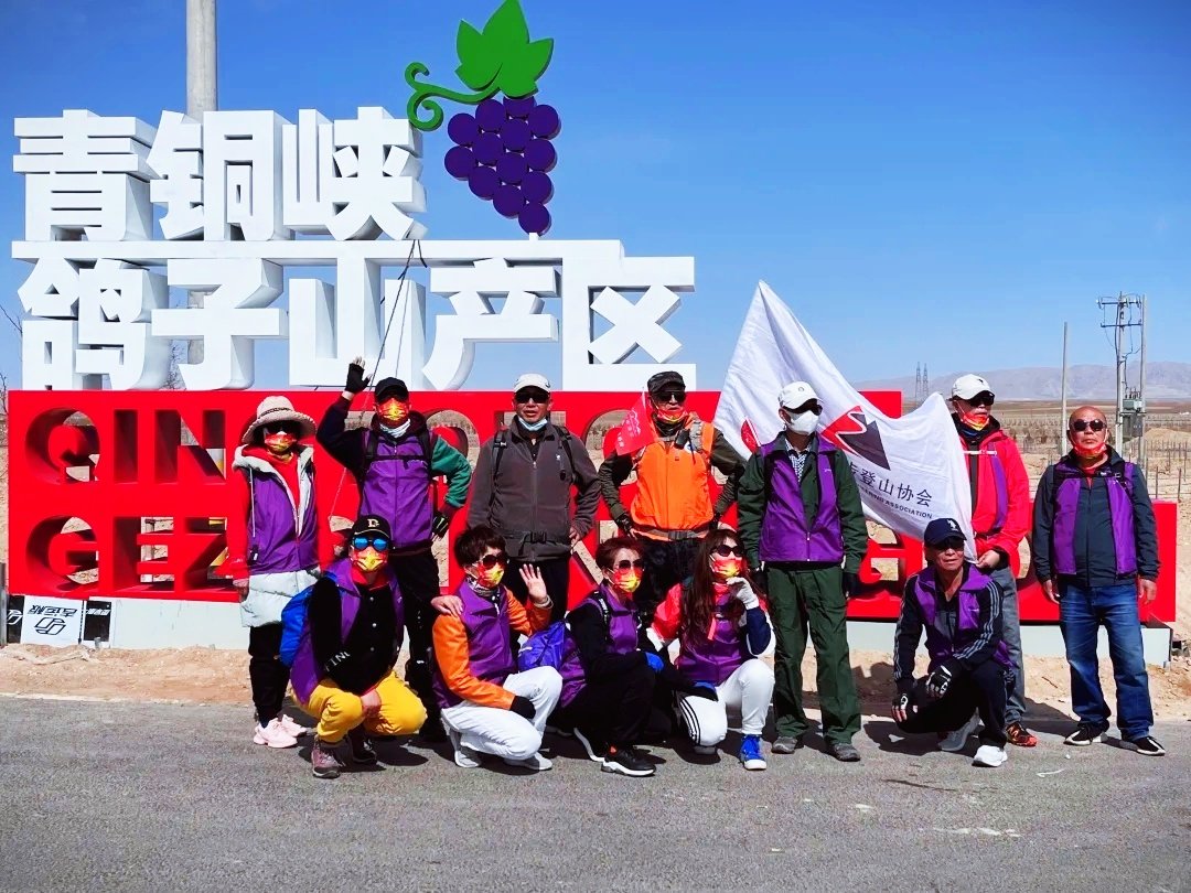 ChinaWineClub's tweet photo. The construction of the 10,000-mu grape base is officially underway. In the future seedling will be planted, stretching into the distance, covering the Qingtongxia wine producing area."Chinese wine from here to the world",like the blessing and hope on the vine, continues to grow. https://t.co/xGyl2hW5Is