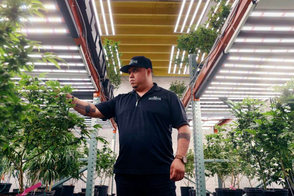 recycledollars's tweet photo. Grower reflects on state of marijuana and hemp in Virginia Black Banks Matter

 Business owner Anthony Mijares explains the ...
https://t.co/R8grXnkCpX | 

 #blackwealth #blackbusiness #blackowned #blackownedbusiness https://t.co/IcGKbMMP5q