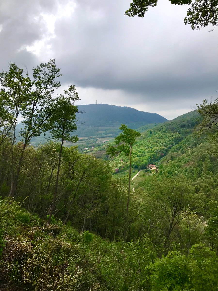 therawhunter's tweet photo. Like in the Jungle 🍃
Nice hike in the Colli Euganei area in Italy!
#hike #hiking #Italy #ColliEuganei #trekking #nature #NaturePhotography https://t.co/hk1t1FX71p