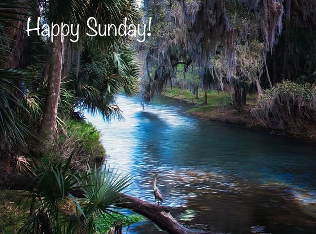 JoAnnReinhold's tweet photo. Logos morning!  Have a great Sunday!
#retirement #157days https://t.co/YS6DJigaOS