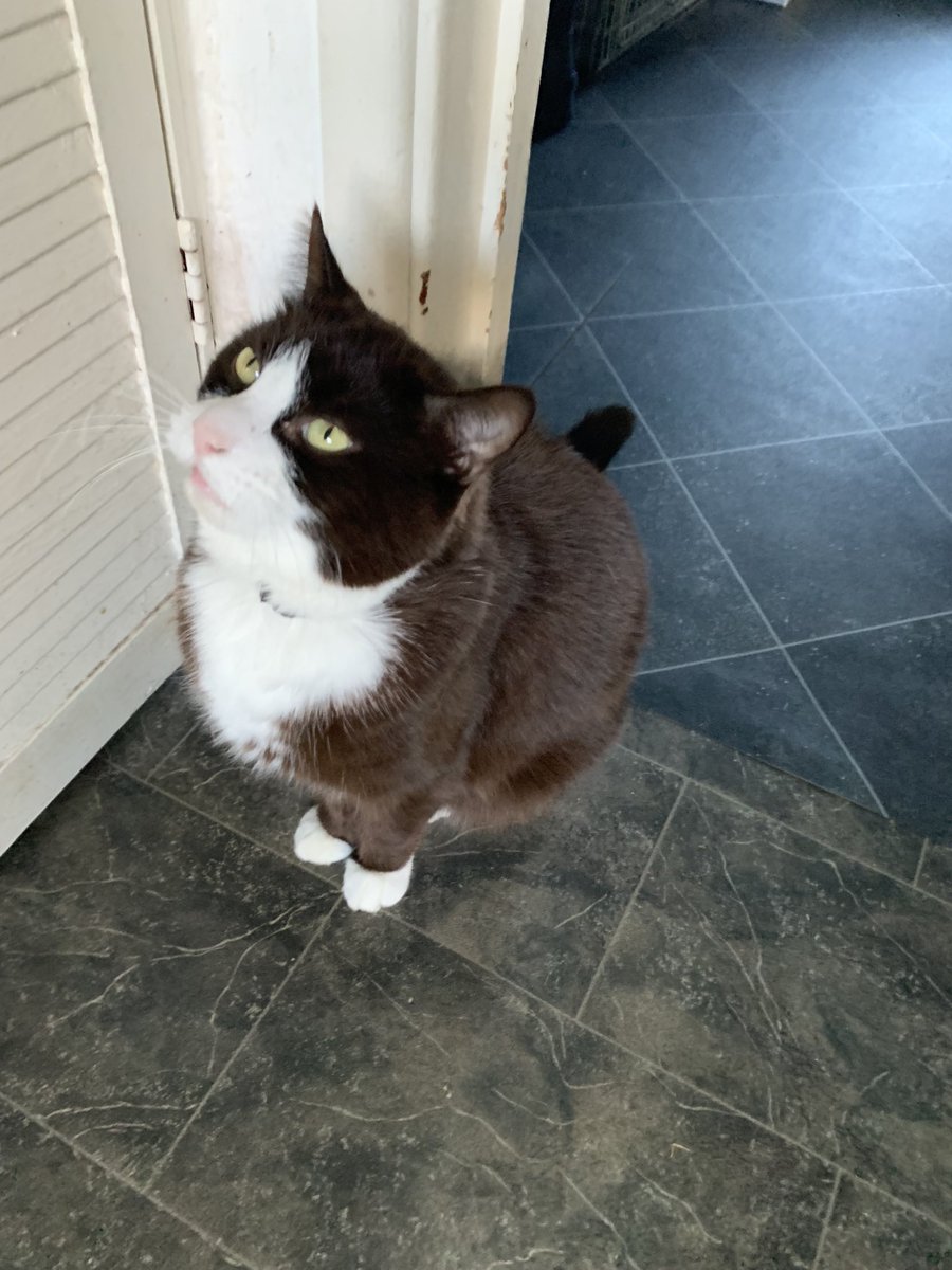 Purple 🏴󠁧󠁢󠁷󠁬󠁳󠁿 tweet media