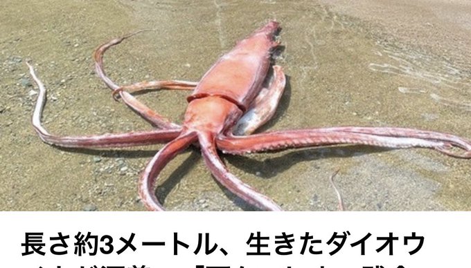 温暖化のtwitterイラスト検索結果 古い順