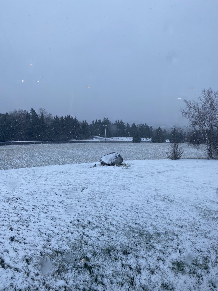 srekkebad's tweet photo. April 24th. Sunny in other parts of the Maritimes. Those aren’t UFOs, light reflections in the window. Not going outside. @WKNDMornings https://t.co/jaAM47CckC