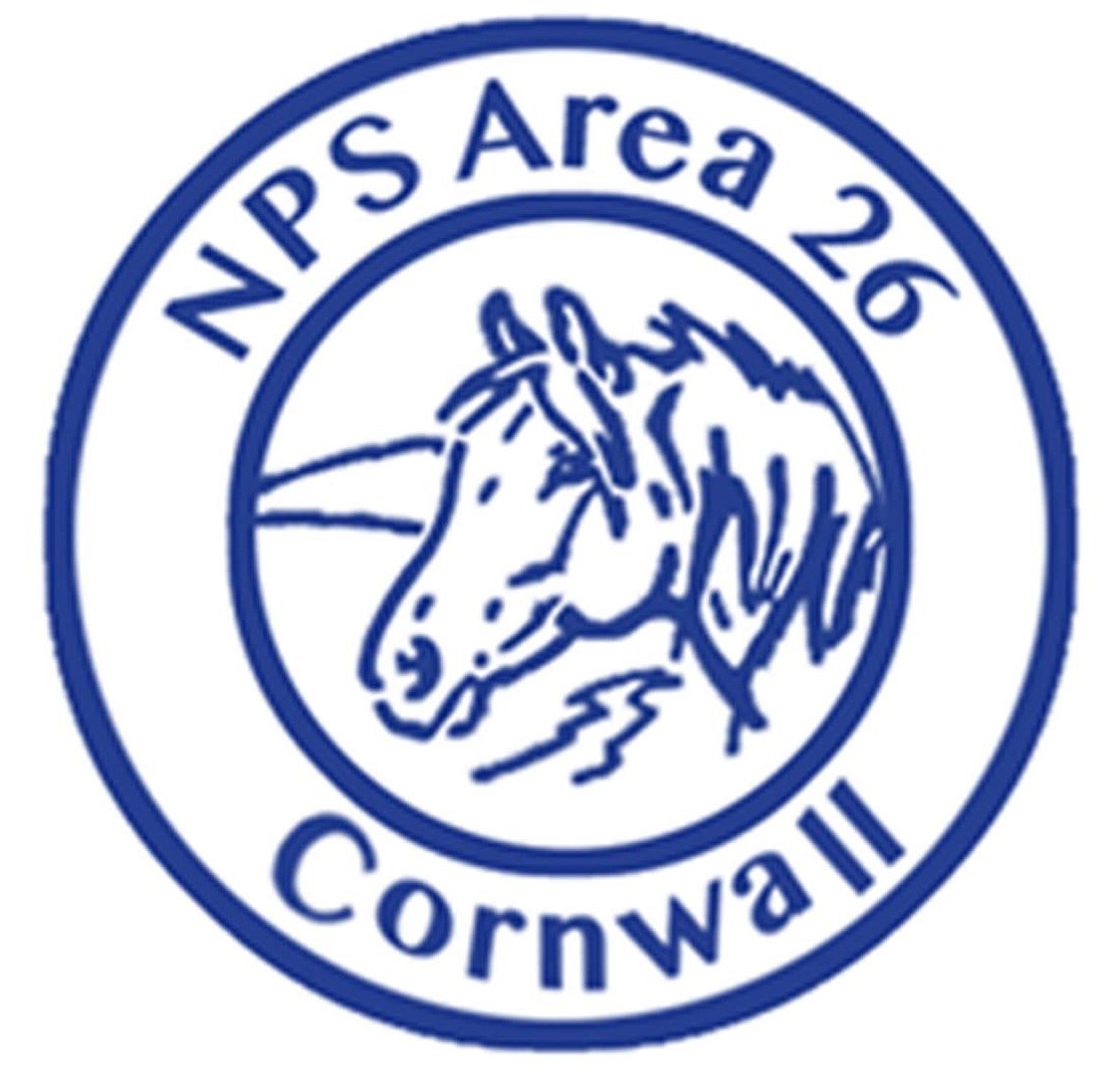 Showing Scene tweet media