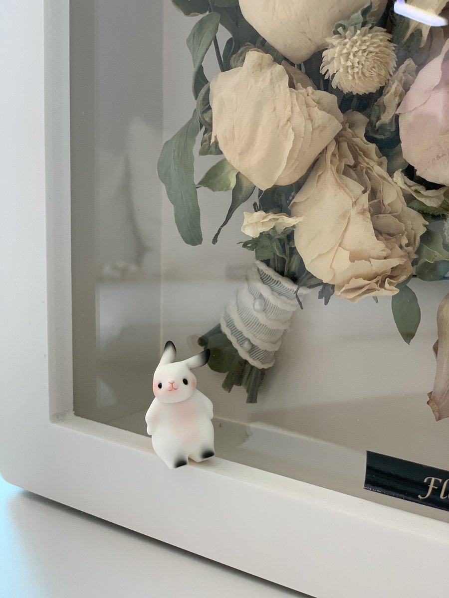 앗 너무 귀여운 토끼친구를 선물받았습니다. 
부케랑 함께 📸