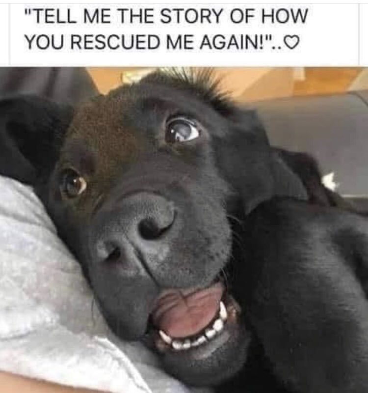 I never grow tired of this 💖