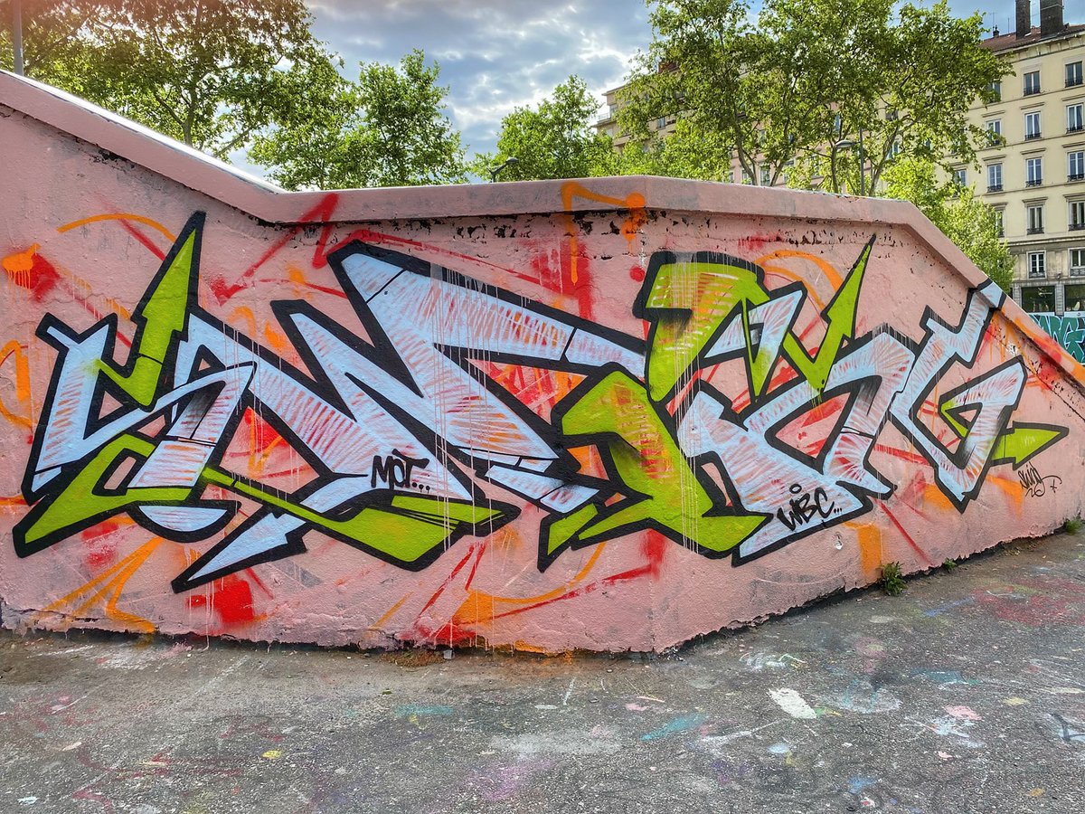 [#streetartlyon / AVRIL 2022] Artwork by Swing // wbcfamily, découvert vers le Pont Morand - #lyon 6 ! 
#swing #wbcfamily #graffiti #streetart