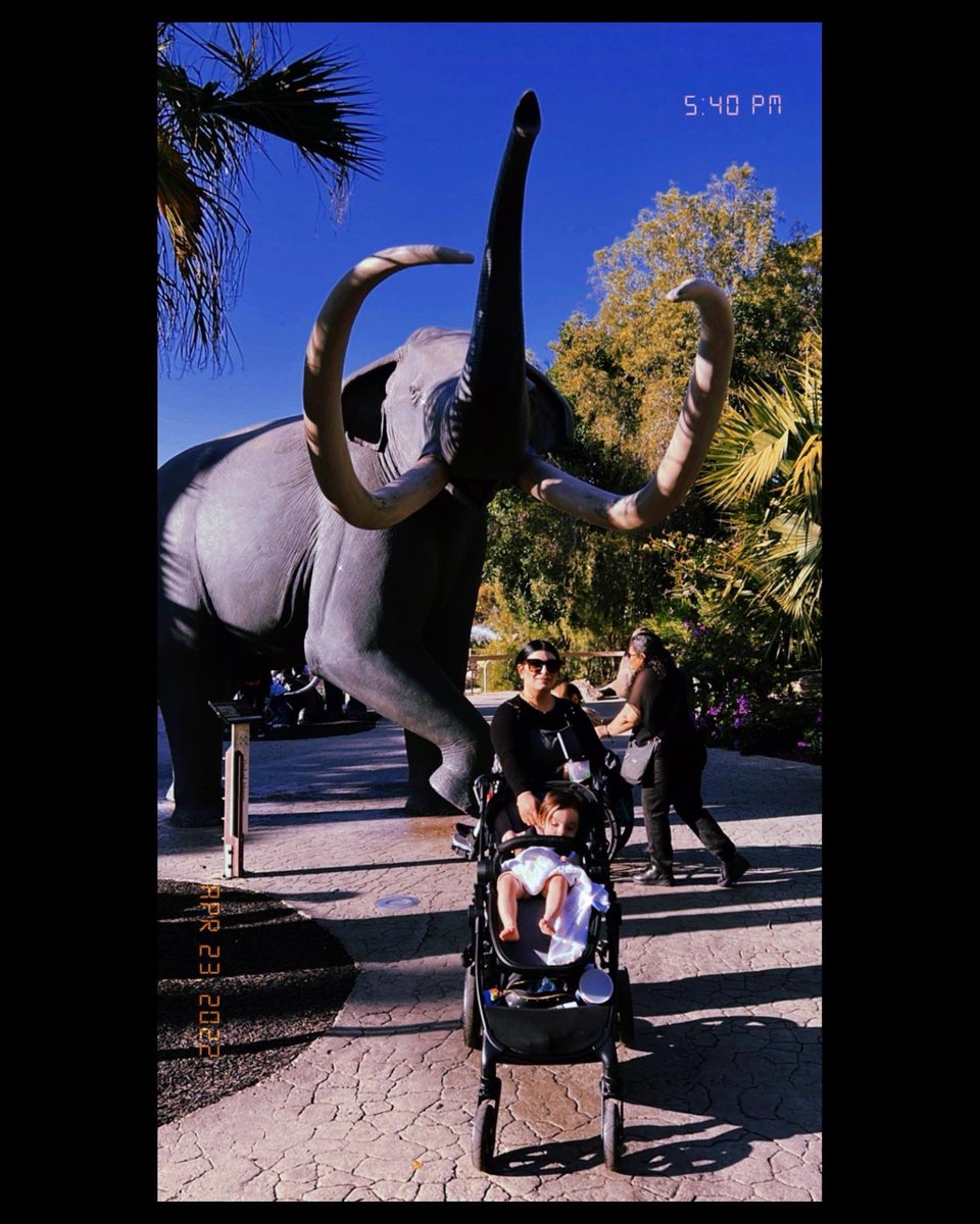 DeanahNeddeau's tweet photo. Had such a great day at the zoo with my little boy. #lovemykid #sandiegozoo #zoo https://t.co/soeW0NzfVE