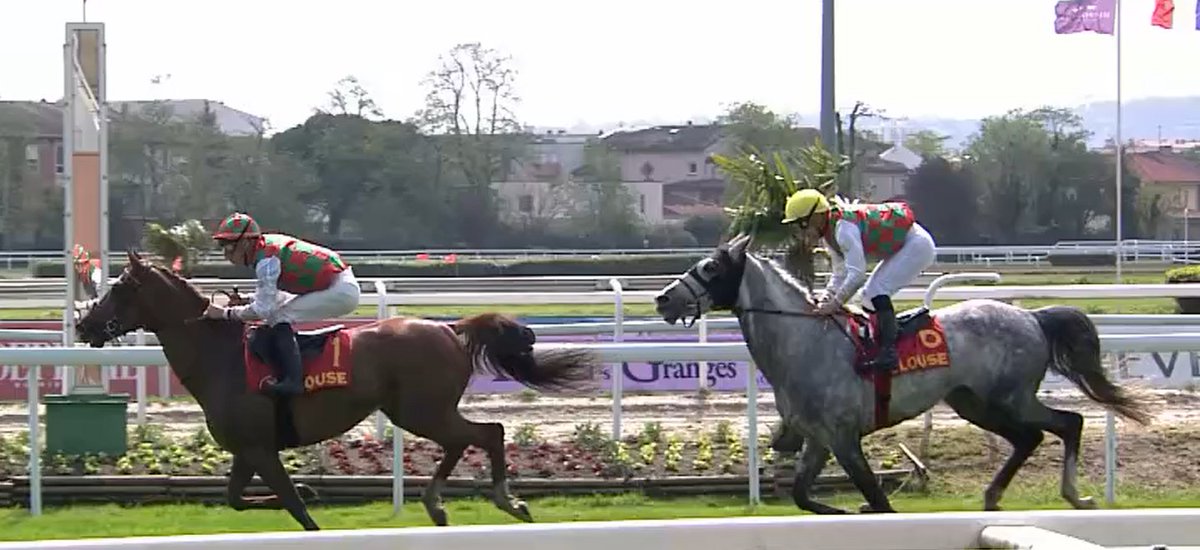 AlKhamsa69's tweet photo. Winning return for champion Hattal (Mahabb) in Prix de Carthage (Gr2 PA) today at @de_hippodrome @afac_contact . He's one of the best older PA horses in training in Europe  @larawathbastud @tdelegue https://t.co/o8raH1jw06