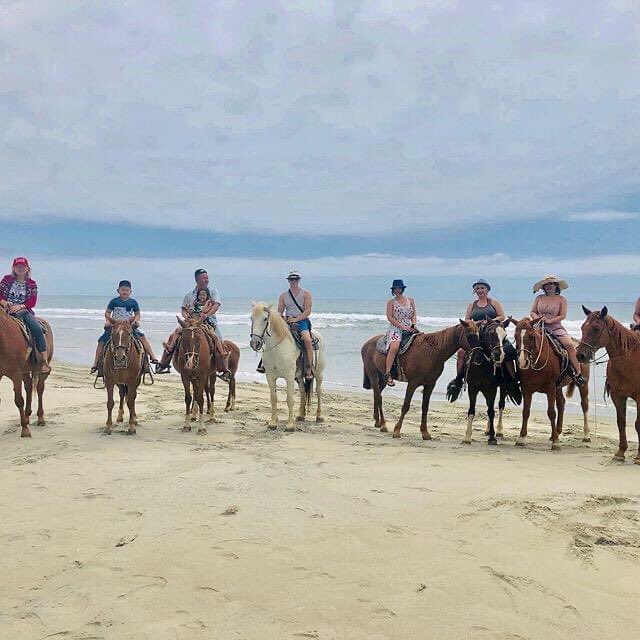 Any ideas for the weekend? #RosaritoBeach 🐴
📷conviviallyme