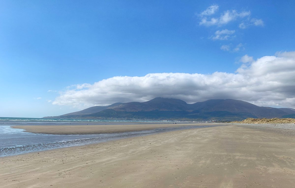 mark_dobbin's tweet photo. Murlough Beach Co.Down nice day for a stroll with Bonnie @WeatherCee @bbcniweather @wearetrekni https://t.co/YuPJlsW1rG