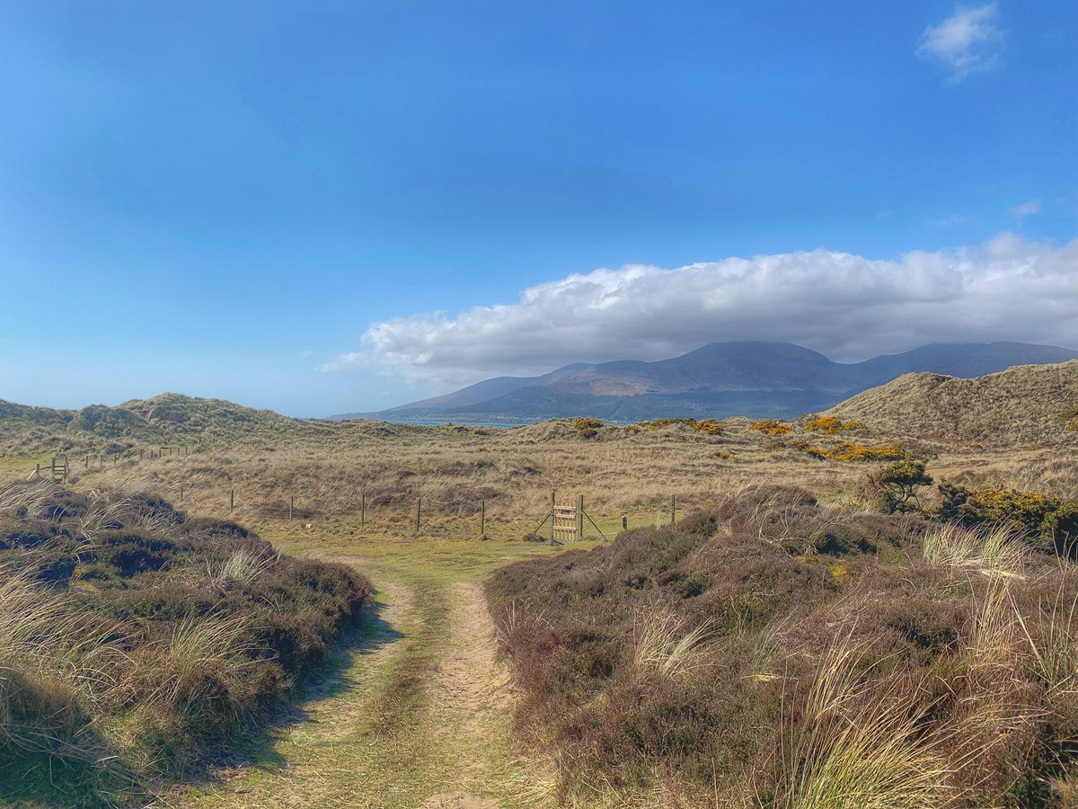 mark_dobbin's tweet photo. Murlough Beach Co.Down nice day for a stroll with Bonnie @WeatherCee @bbcniweather @wearetrekni https://t.co/YuPJlsW1rG
