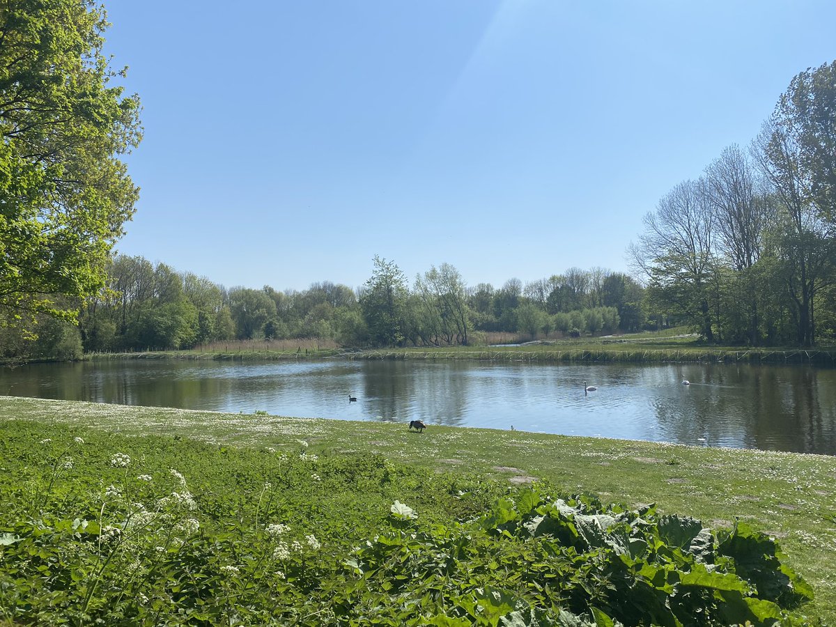 marcelbelt's tweet photo. Weer een stap richting loodvrije @SportvisserijNL 💦 
Vanochtend te gast bij GHV Groene Hart voor de start van loodvrij vissen in de Madesteinplassen in @GemeenteDenHaag.
Belangrijk voor de gezondheid van mens, plant, dier 🐟 
Duikers uit de regio maakten de plas extra schoon 👍 https://t.co/AteVhQIi9q