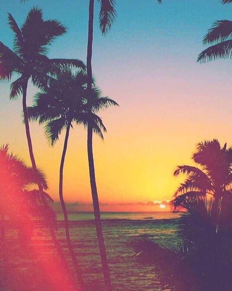 Los colores de primavera en #Rosarito son espectaculares 🌴 😍
📷malintzin_mx