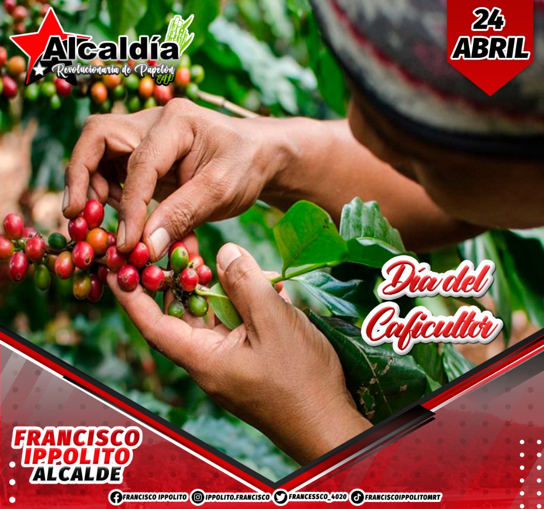 Hoy como todos los 24 de Abril, se rinde homenaje a los productores que se dedican a producir el grano de café, la tradicional bebida de las familias venezolanas ya que más allá de la capacidad para producir, es la capacidad natural demostrada por el caficultor criollo.