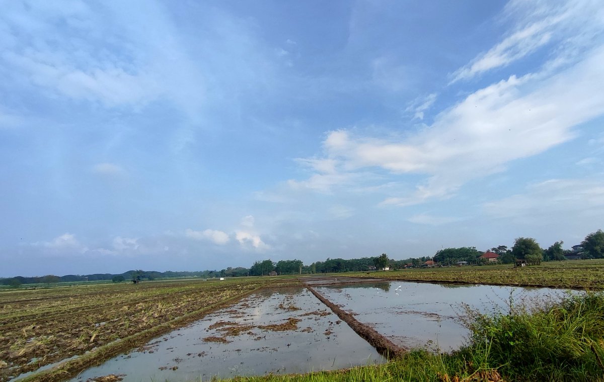 Hamparan. 
Persemaian harapan yang tak boleh padam. 

#liveinvillage 
#village 
#petanigadungan 
#sleman