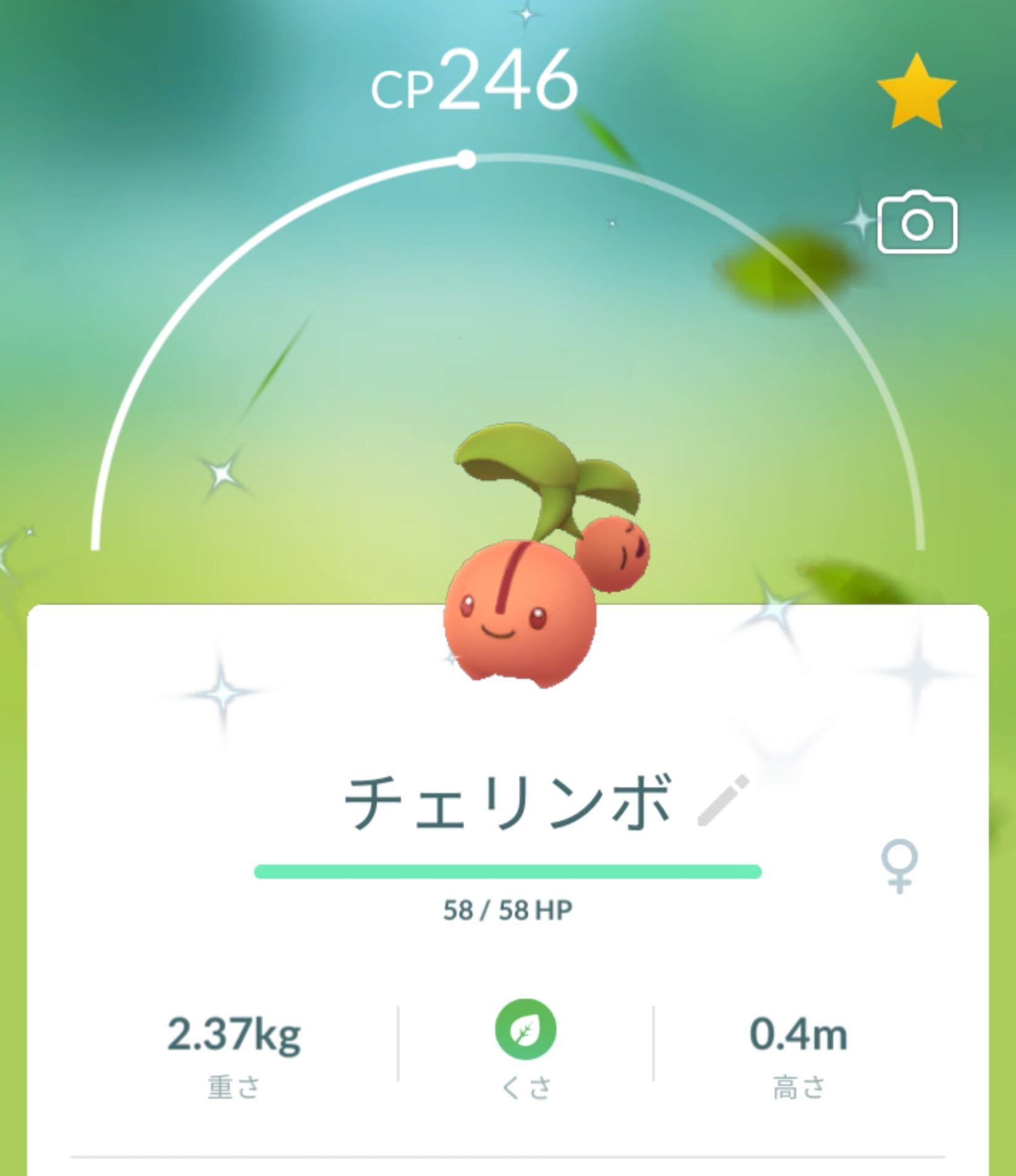تويتر 瞭 Team على تويتر チェリンボ 色違いポケモン ポケモンgo 22 04 24 午後 天王グリーンランド T Co Dawa35xoor