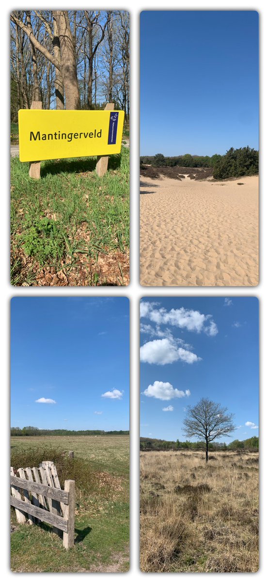 HeinoII's tweet photo. Mooie zonnige โ๏ธ wandeldag in #Mantinge #Mantingerveld #Drenthe #heide #jeneverbes #vergezichten https://t.co/Ypx49T4aMW