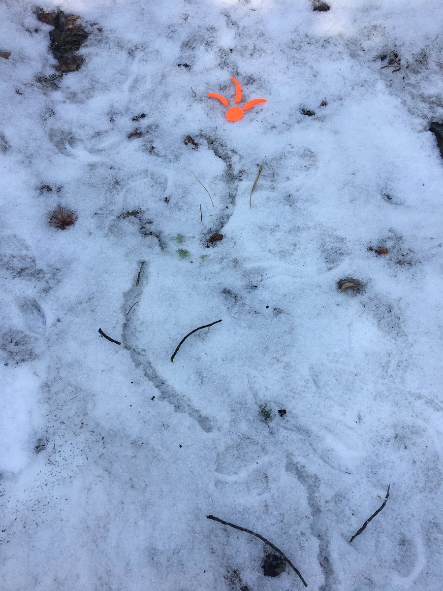 Scott Bailey tweet media