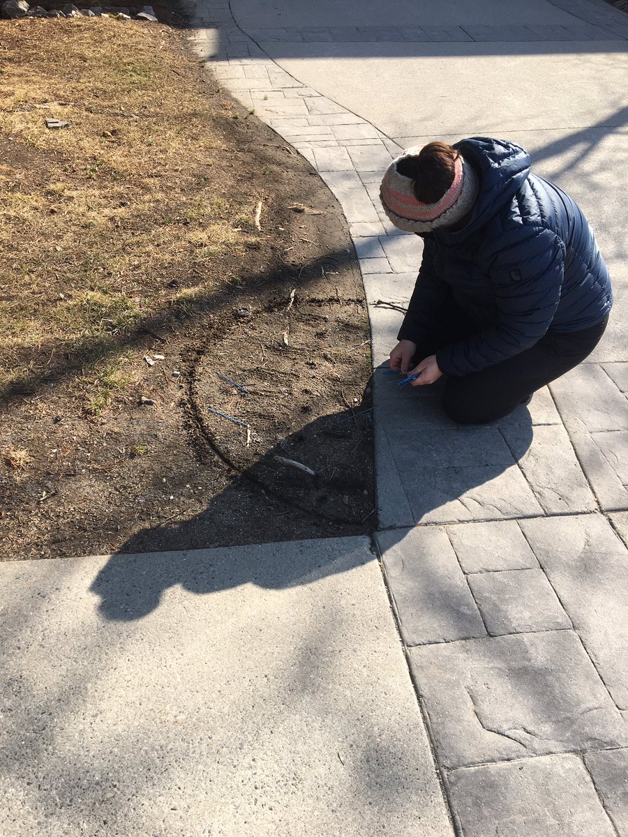 Scott Bailey tweet media