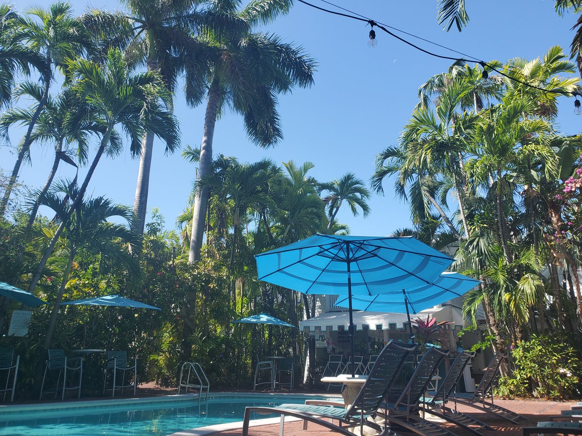 accountwise's tweet photo. RT @ryanfoland: Can you find the π¦π?
(This is a more challenging one, FYI)
#LizardChallenge #KeyWest edition. https://t.co/YDryNQ5xXB