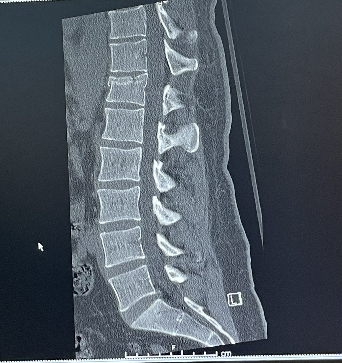 Zaptio RTFKT tweet media