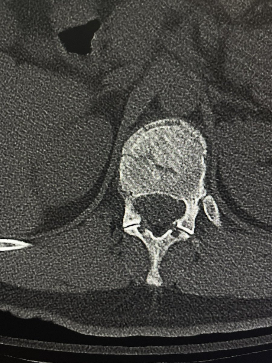 Zaptio RTFKT tweet media