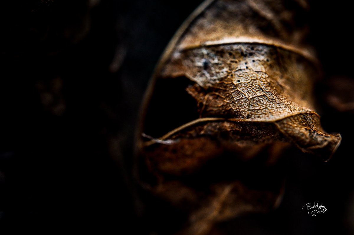 ob_smith's tweet image. #art #artist #ArtistOnTwitter #artistsontwitter #Artists #artwork #PHOTOS #photography #photo