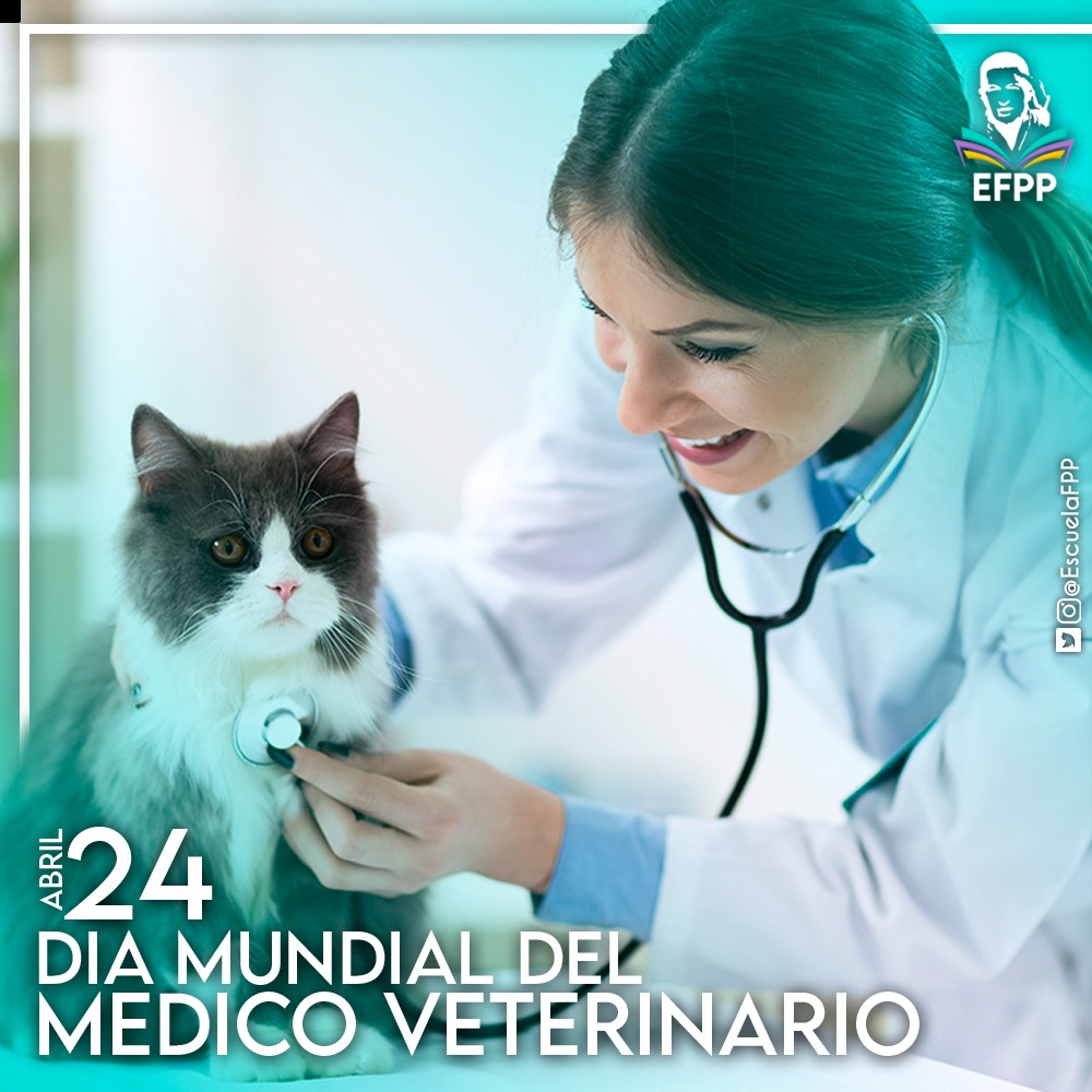 efppdeltaa's tweet photo. Hoy #24Abr Día Mundial del Veterinario celebramos la labor de aquellos profesionales que reconocen y reivindican los derechos de los animales, para que gocen de buena salud, protección, seguridad alimentaria dentro de un #PuebloAlegreYEnPaz 

@SomosNevado https://t.co/7hlKSa3fgt