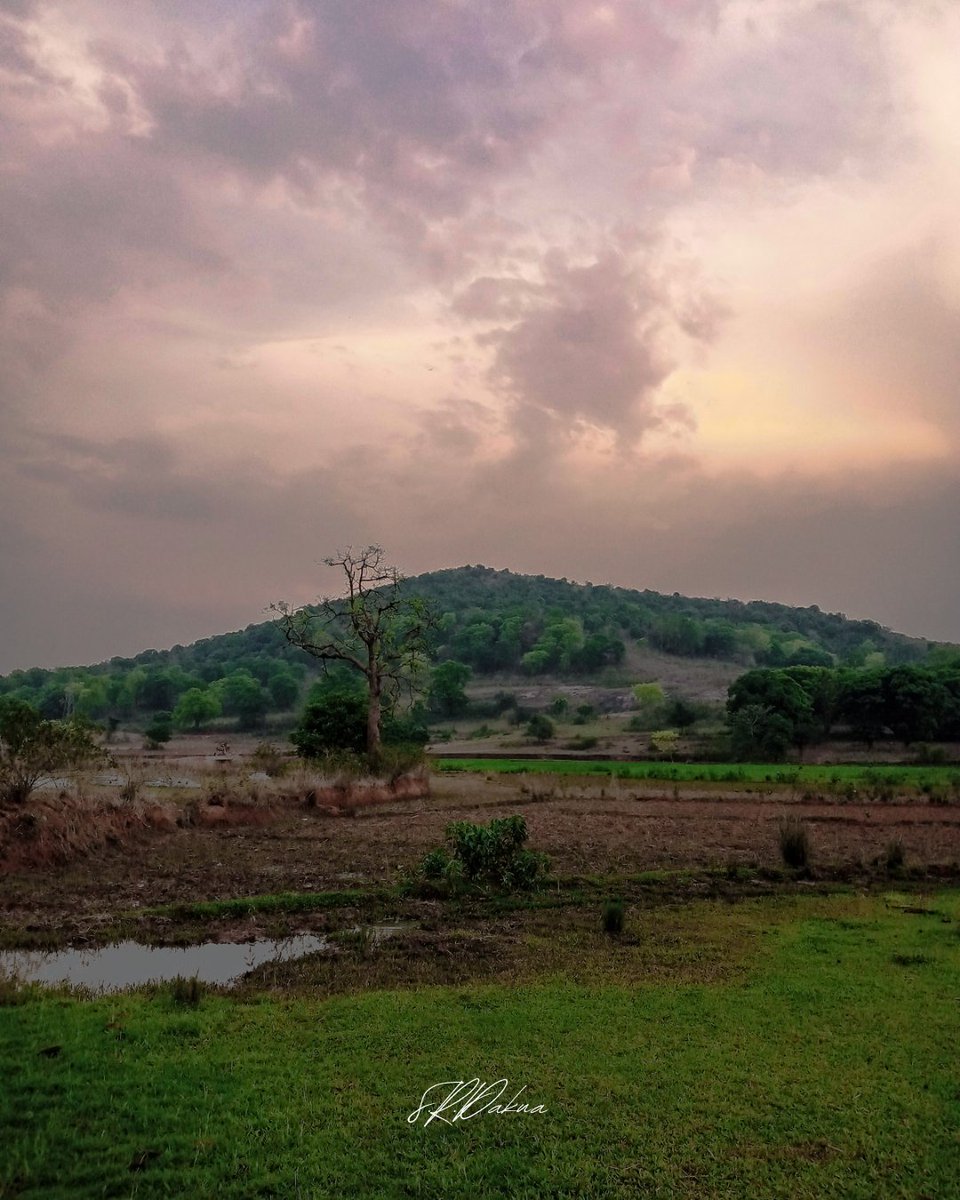 _Dk_18's tweet photo. The hill, the crop land adm everything around are getting ready to welcome rain 🌧️

#nature #phonephotography #photo #photography #photooftheday https://t.co/aenwv5Po3j