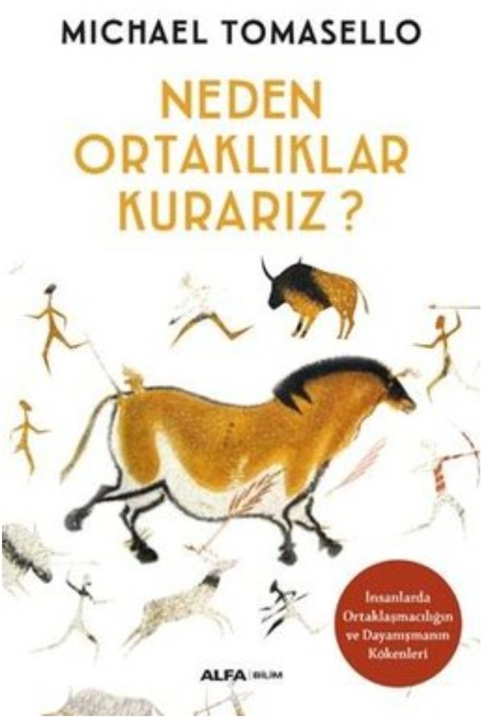 Rıdvan Işık tweet media