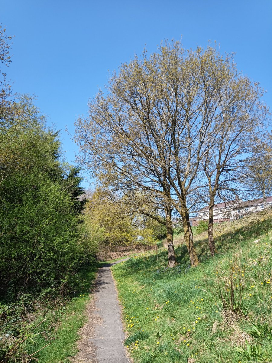 thewalkingkev's tweet photo. Walking locally to avoid taking the car. South Wales at its best today. #walklocal https://t.co/oMQEItk3ct