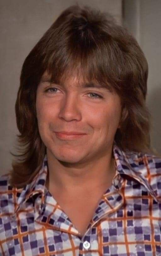 jessbythebsb's tweet photo. Most perfect eye candy..ππ¬ππππ #DavidCassidy #Eyecandysunday #cutesyboy π #favoritepartridge https://t.co/Ymjdprb9db