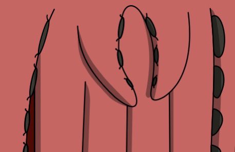 sneak preview: who likes some handsome tentacles? #NFTCommunity  #NFT