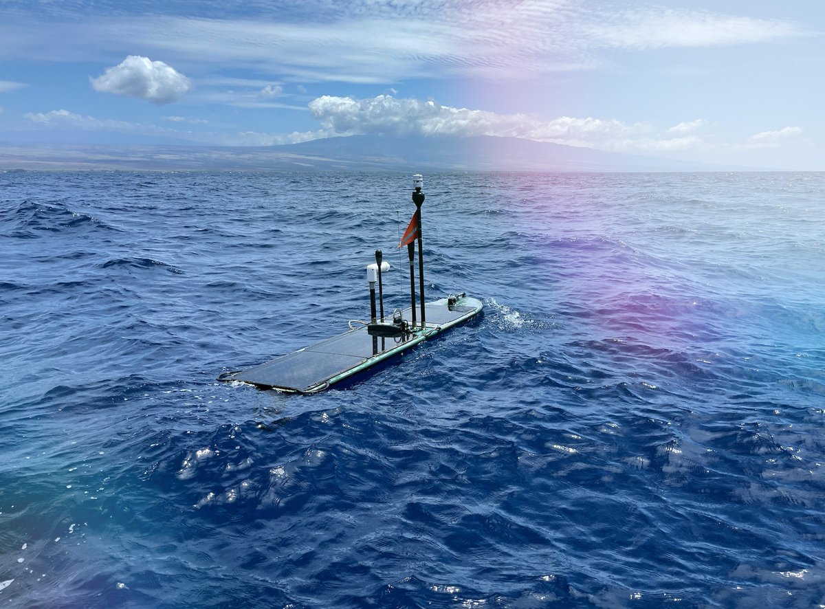 Cosmo ha estado en las aguas de Hawai durante exactamente un año hoy