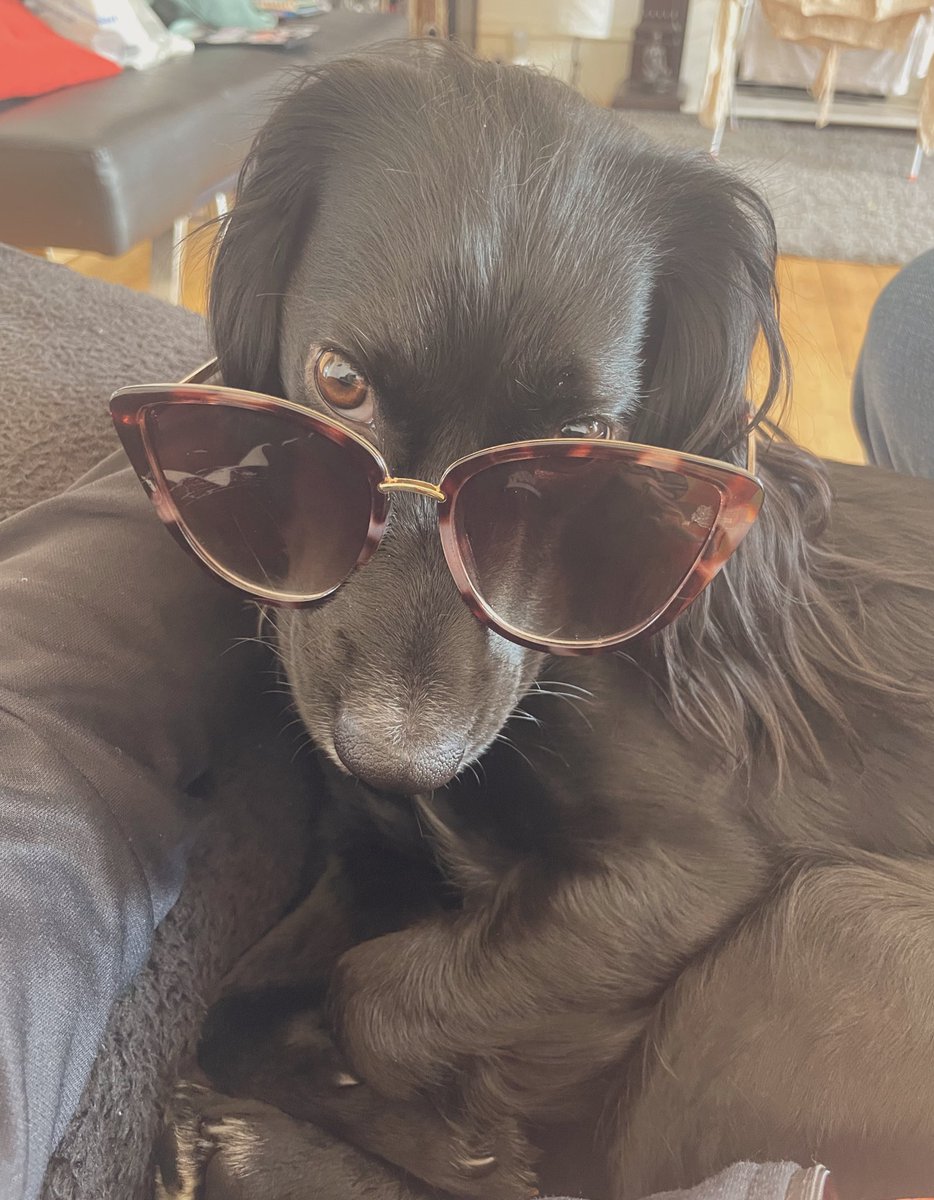 Miss Dodds tweet media