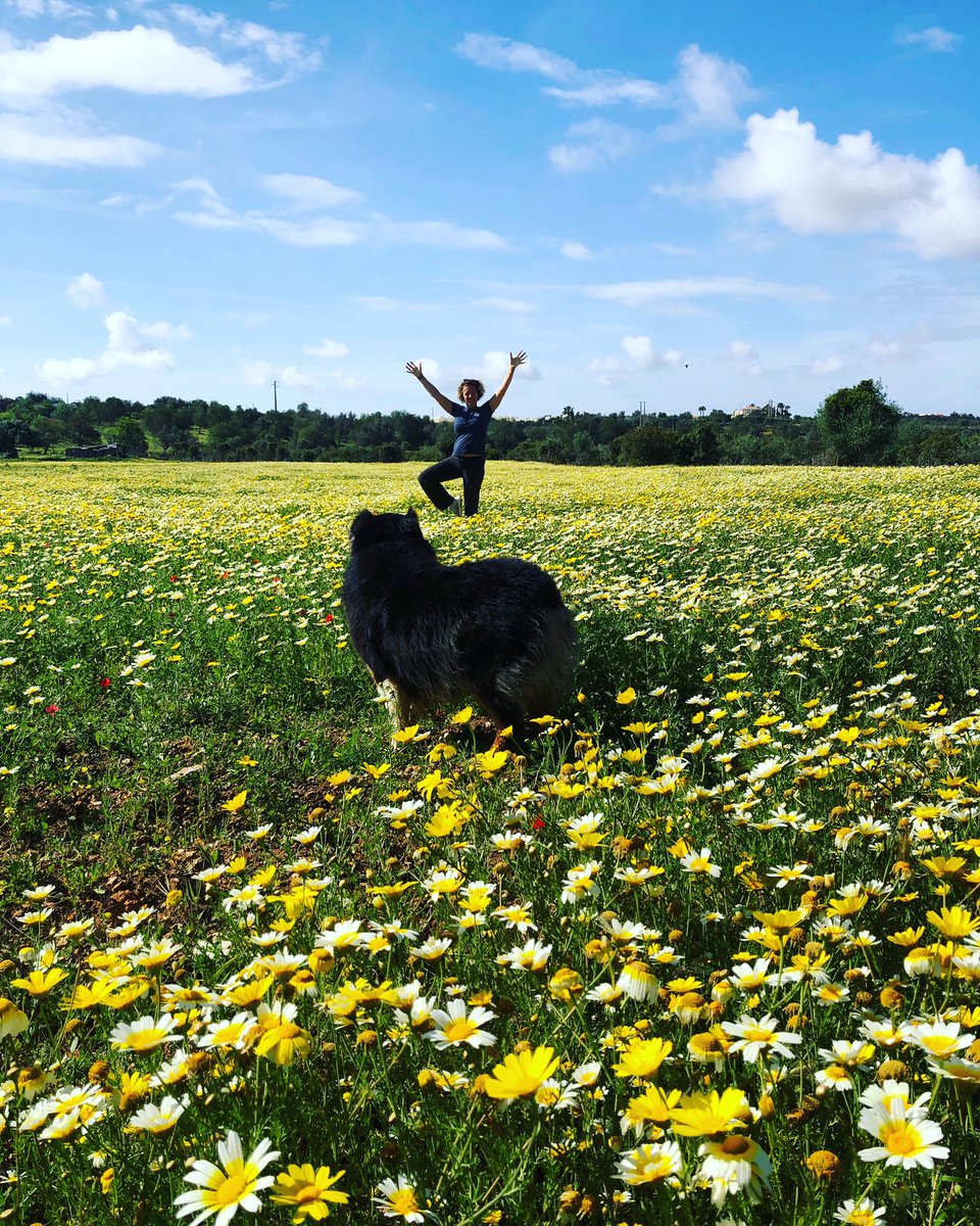 After days of Rain, sun is back and Nature is happy .
Late for Earth Day but never too late to #PlantYourPose.
Join <a href="/MyPeakChallenge/">My Peak Challenge</a> to help <a href="/onetreeplanted/">One Tree Planted</a>  
<a href="/SamHeughan/">Sam Heughan</a> <a href="/UFsPeakers/">United Frenchy sPeakers</a> <a href="/MountainPeakers/">Mountain Peakers</a> 
@CelticPeakers 
<a href="/RoadtripPeakers/">RoadtripPeakers</a> 
See you soon in Scotland