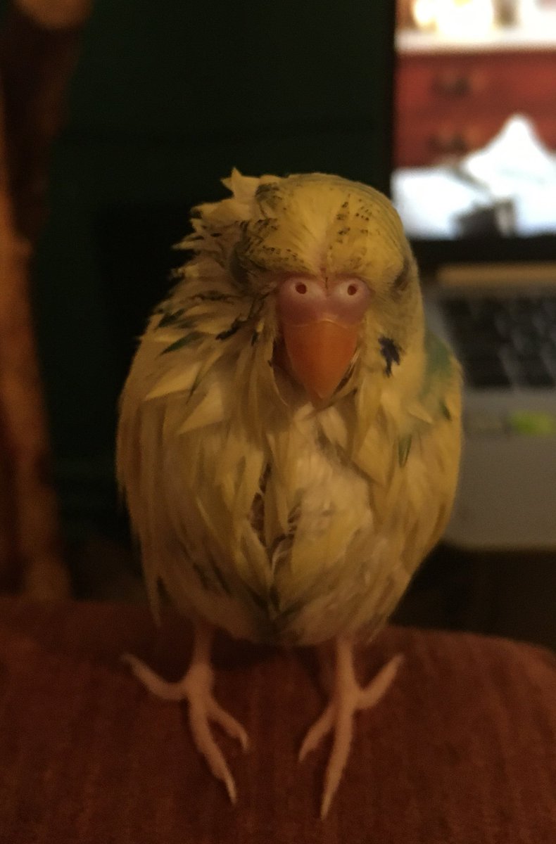 Alkolu fazla kaçırdığım gecelerin sabahında ben